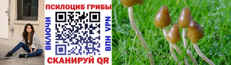 Псилоцибиновые грибы мухоморы  Нестеров 
